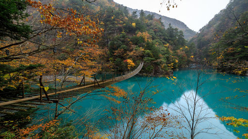 Reflection of trees on lake during autumn in japan 