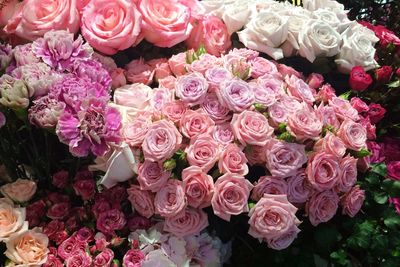 Close-up of rose bouquet