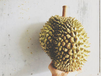 Close-up of hand holding fruit against wall