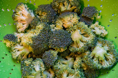Close-up of fresh wet broccoli in green colander