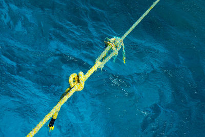 High angle view of rope tied to swimming pool