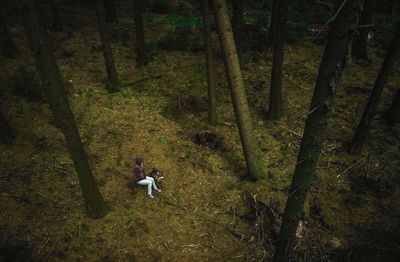 High angle view of man in forest