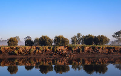 Trees on river bank against clear sky