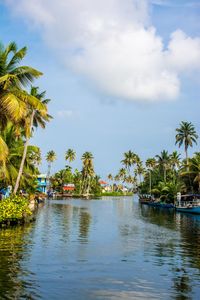 Scenic view of backwaters against the sky