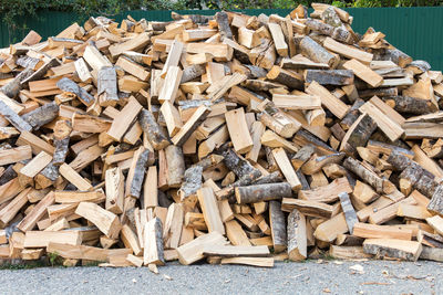 Stack of logs in forest