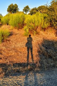 Shadow of man on field