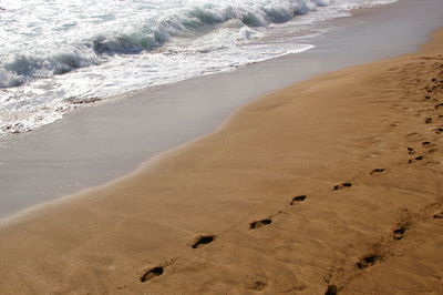 High angle view of footprints on beach