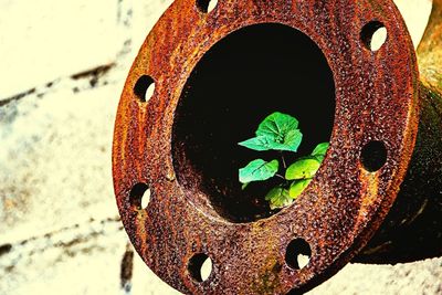 Close-up of hole on wall