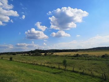 Scenic view of field against sky