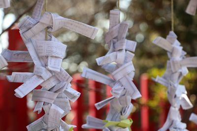 Close-up of papers tied up against temple