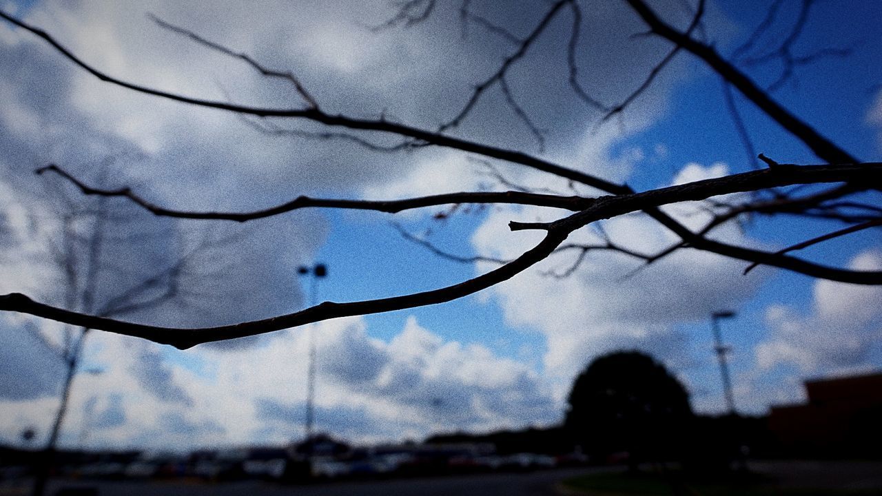 LOW ANGLE VIEW OF SILHOUETTE BARE TREE AGAINST SKY AT DUSK