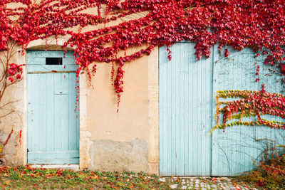 Closed door of old building