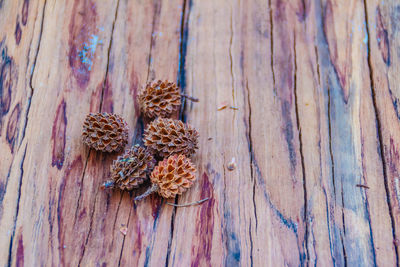 High angle view of dried pine cone on table