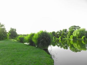 Scenic view of lake against clear sky