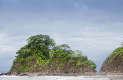 Trees by sea against sky