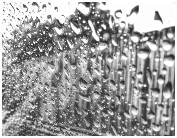 Close-up of water drops on leaf