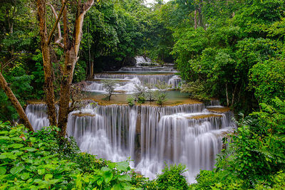 View of waterfall in forest