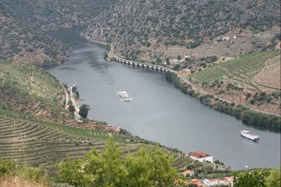 Aerial view of landscape