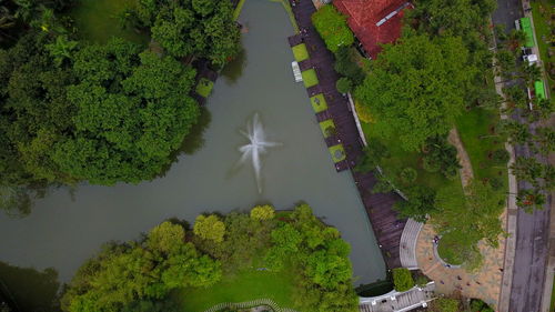 High angle view of plants by canal