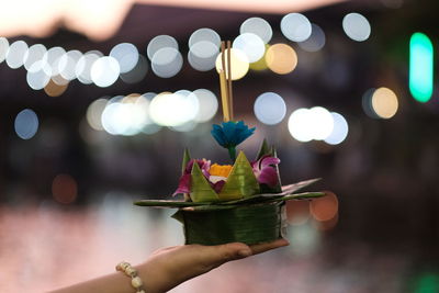 Close-up of hand holding illuminated plant