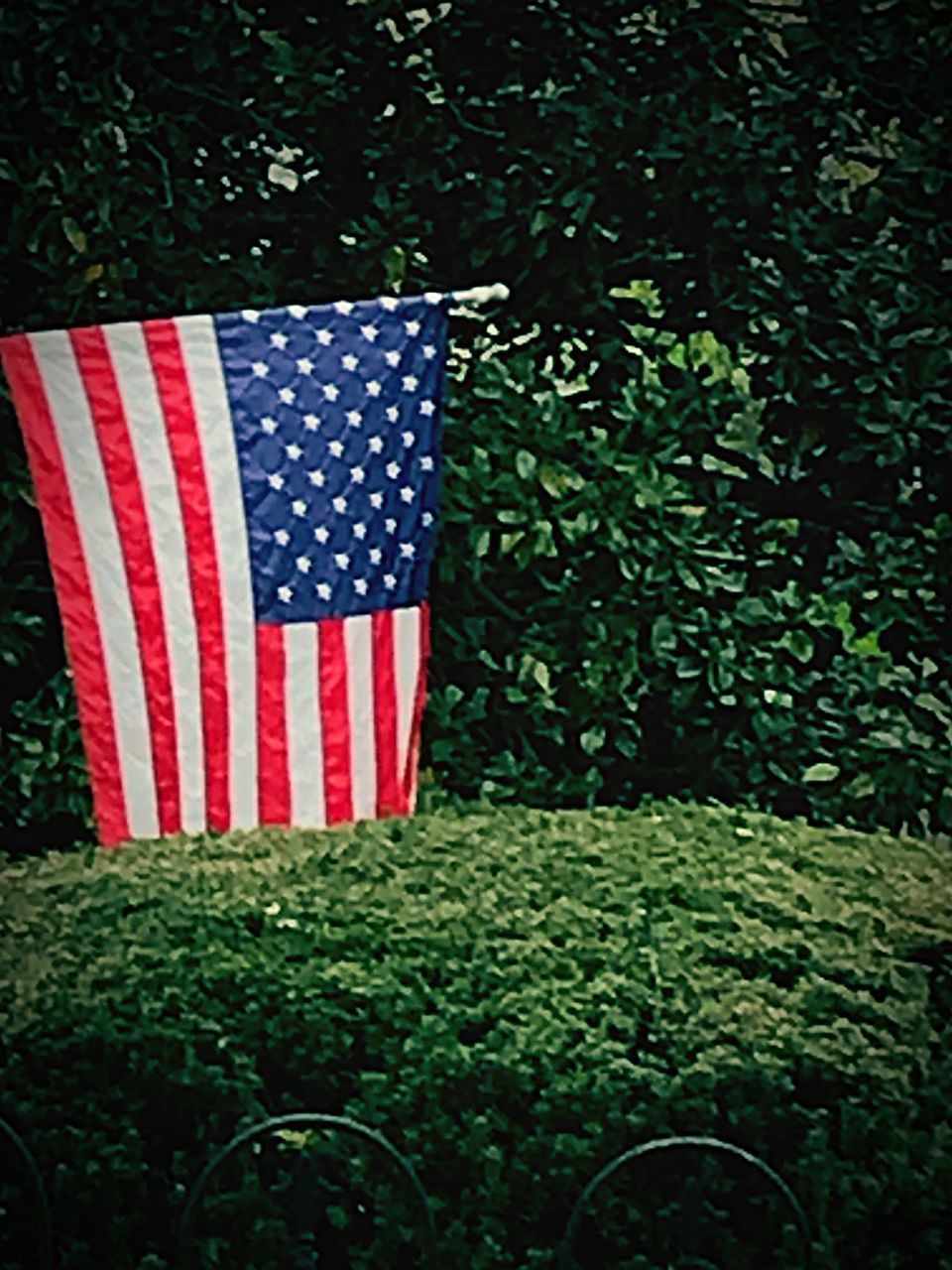 CLOSE-UP OF FLAG AGAINST TREES