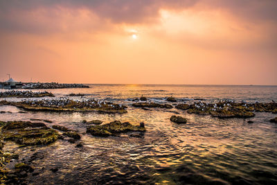 Scenic view of sea against sky during sunset