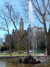 Trees by building against sky