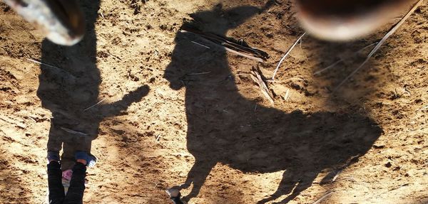 High angle view of shadow on sand