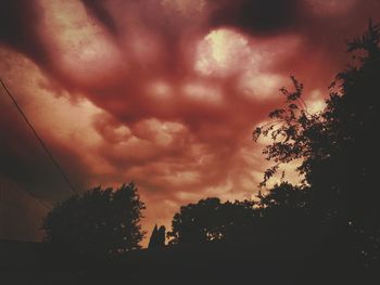 Silhouette of trees against storm clouds