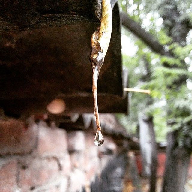 water, focus on foreground, close-up, reflection, selective focus, motion, day, wet, outdoors, hanging, drop, no people, splashing, metal, one animal, sunlight, nature, part of, waterfront, side view