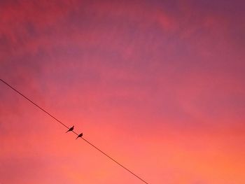 Low angle view of birds perching on cable against sky during sunset