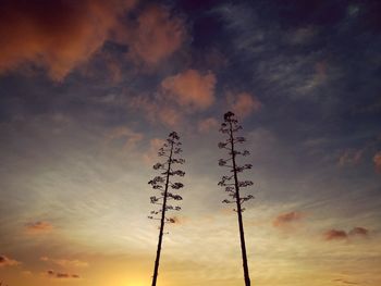 Silhouette of tree against cloudy sky during sunset