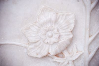 Close-up of white flowers