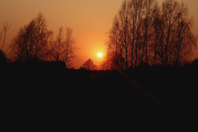 Silhouette bare trees against sky during sunset