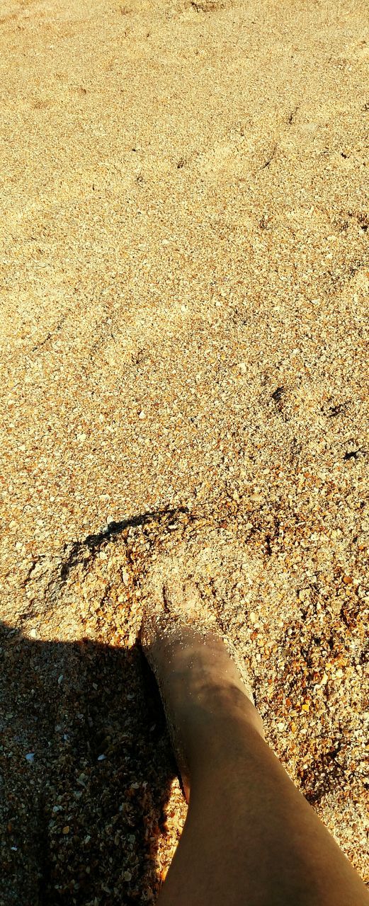 sand, asphalt, high angle view, road, beach, street, road marking, transportation, sunlight, shadow, outdoors, day, textured, no people, shore, wet, part of, nature, footprint, close-up