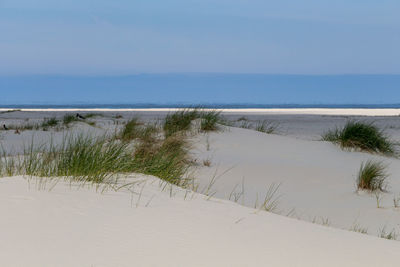 Scenic view of beach against sky
