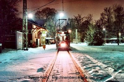 View of illuminated street light in winter