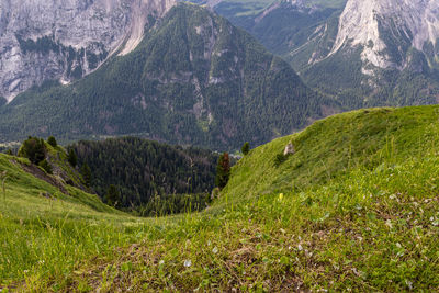 mountain