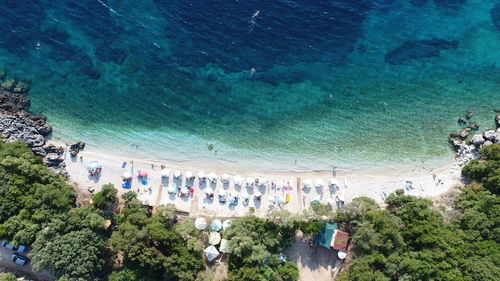 High angle view of beach by trees