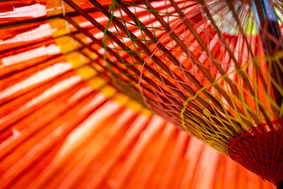 Close-up of japanese umbrella 