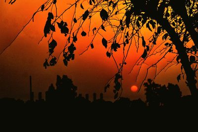 Low angle view of silhouette tree against orange sky