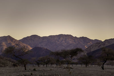 Scenic view of landscape against sky during sunset