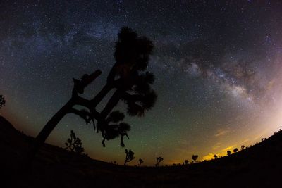 Low angle view of stars in sky