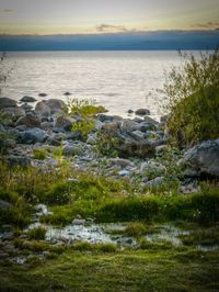 Scenic view of sea against sky