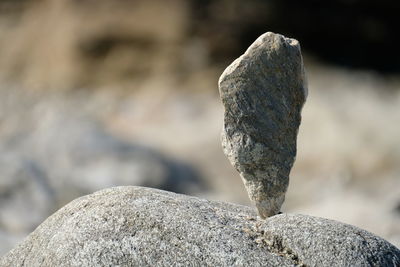 Close-up of stones on rock