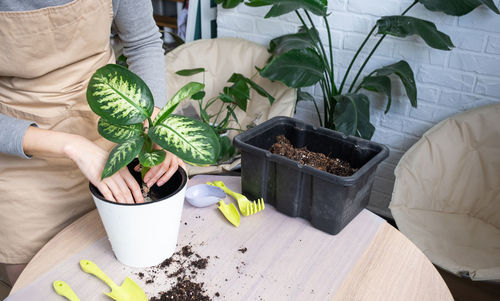 Midsection of woman holding potted plant