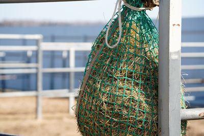 Dry hay hanging in net outside of stable