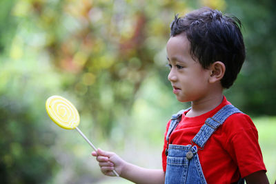 Close-up of boy holding lollipop in back yard