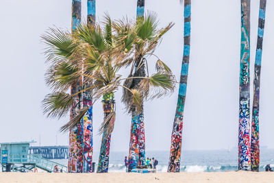 Palm tress with street art at venice beach. beautiful view. 