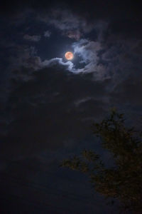 Low angle view of moon in sky at night